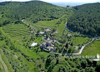 Casale Località Due Querce, 43, Castellina in Chianti - photo 31