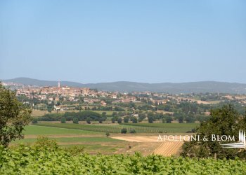 Casale Via di Cortona, 115, Cortona - foto 36