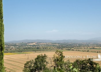 Casale Via di Cortona, 115, Cortona - foto 38