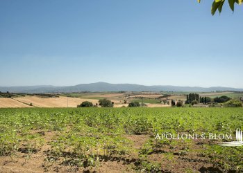 Casale Via di Cortona, 115, Cortona - foto 44