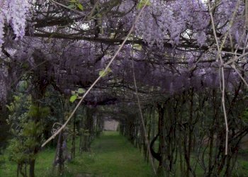 Terreno - Stabile - Palazzo via Frati Capuccini, Budrio - foto 8