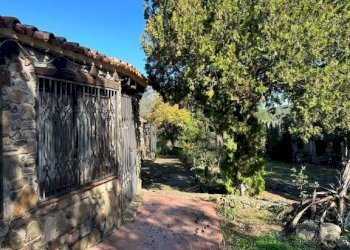 Terreno - Villa via Plebi, Olbia - foto 4