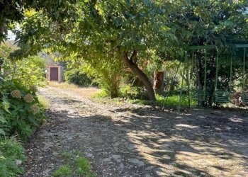 Terreno - Villa via Plebi, Olbia - foto 7