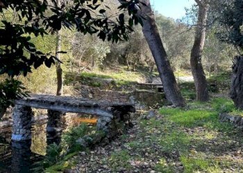 Terreno - Villa via Plebi, Olbia - foto 8