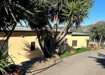 Giardino - Villa via Plebi, Olbia - foto 11