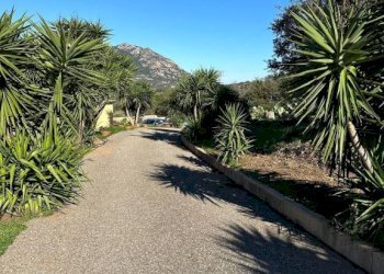 Zona - Villa via Plebi, Olbia - foto 17