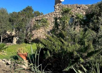 Terreno - Villa via Plebi, Olbia - foto 19