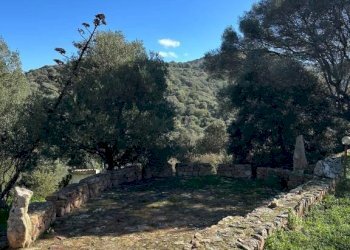 Terreno - Villa via Plebi, Olbia - photo 21