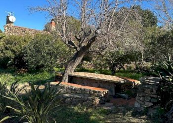 Terreno - Villa via Plebi, Olbia - foto 22