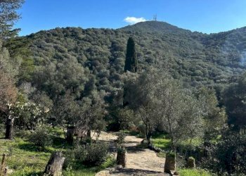 Terreno - Villa via Plebi, Olbia - foto 24