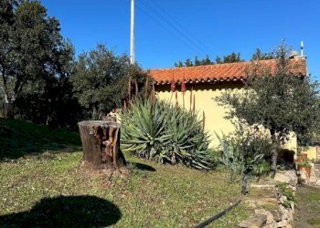 Terreno - Villa via Plebi, Olbia - foto 31