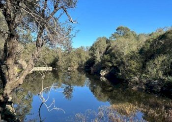 Vista - Villa via Plebi, Olbia - foto 33