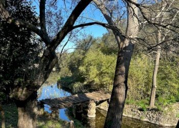 Terreno - Villa via Plebi, Olbia - foto 34