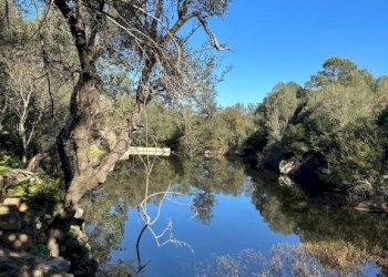Terreno - Villa via Plebi, Olbia - foto 35