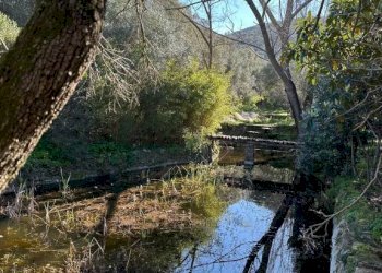 Terreno - Villa via Plebi, Olbia - foto 36