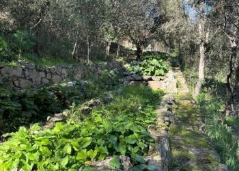 Terreno - Villa via Plebi, Olbia - foto 38