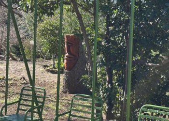 Giardino - Villa via Plebi, Olbia - foto 46