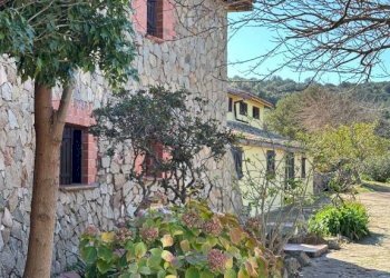 Facciata - Villa via Plebi, Olbia - foto 47