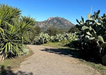 Terreno - Villa via Plebi, Olbia - foto 48