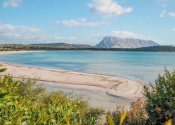 Zona - Villa a Schiera via Pittinatu, San Teodoro - foto 13