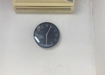 Altro - Negozio via Francesco Zanardi, 10, Bologna (zona Saffi) - foto 4