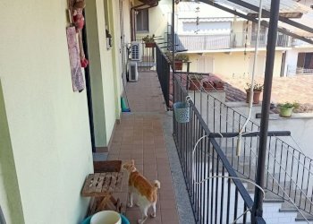 Villa Villafranca Piemonte - foto 20