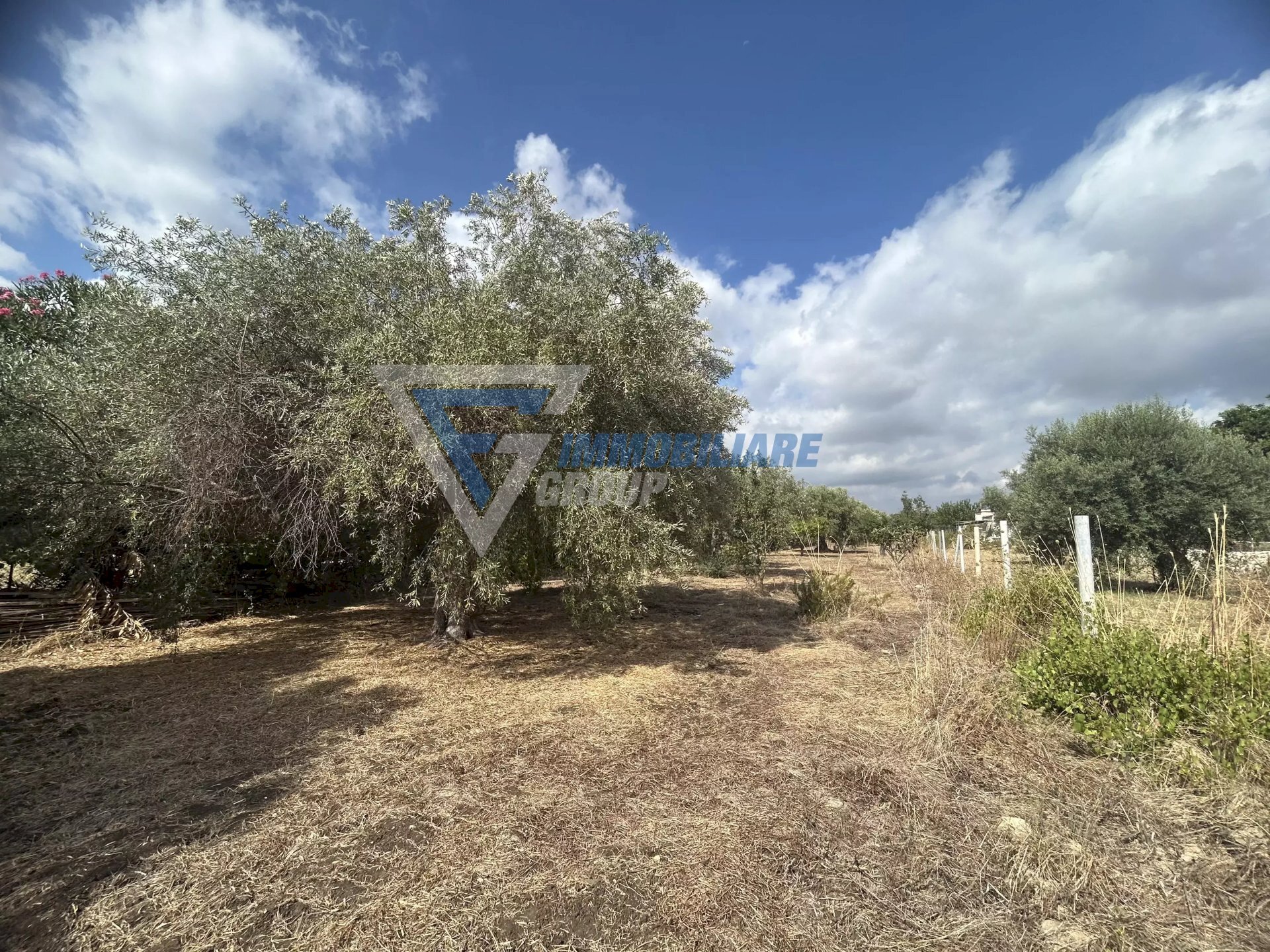 Villa Traversa Masseria Gargallo, Siracusa - foto 2
