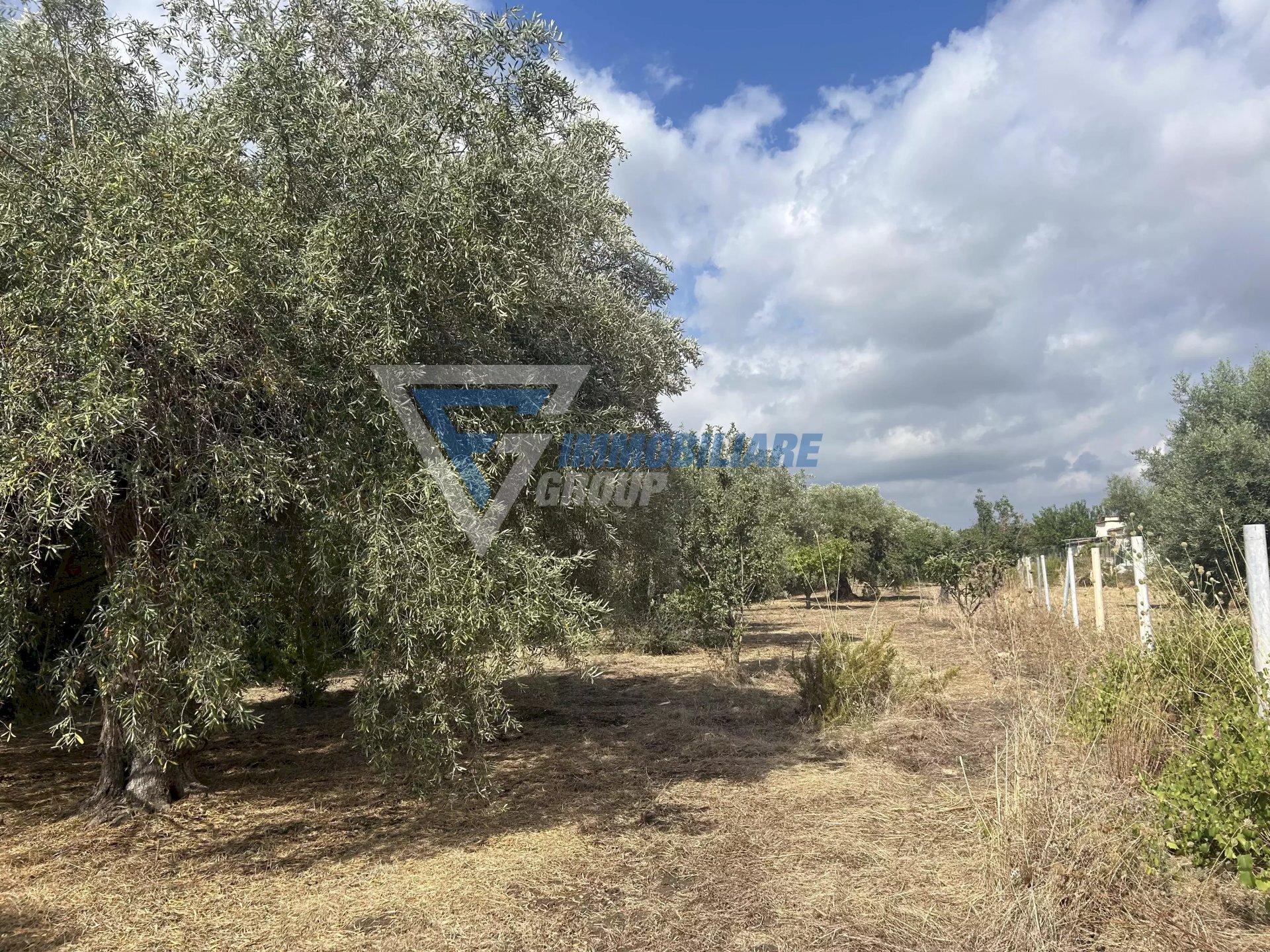 Villa Traversa Masseria Gargallo, Siracusa - foto 3