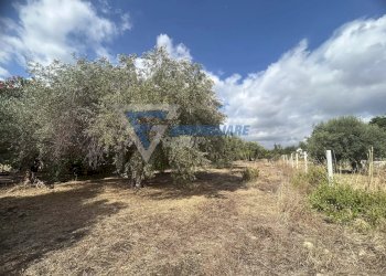 Villa Traversa Masseria Gargallo, Siracusa - foto 2