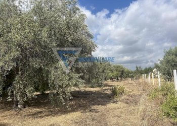 Villa Traversa Masseria Gargallo, Siracusa - foto 3