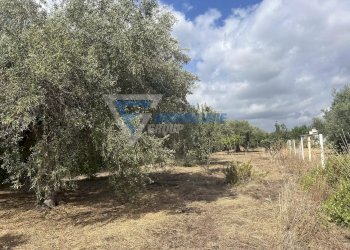 Villa Traversa Masseria Gargallo, Siracusa - foto 4