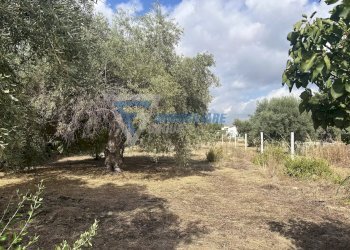 Villa Traversa Masseria Gargallo, Siracusa - foto 5