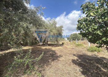 Villa Traversa Masseria Gargallo, Siracusa - foto 6