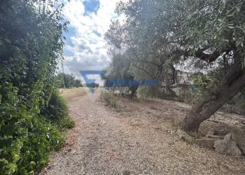 Villa Traversa Masseria Gargallo, Siracusa - foto 17