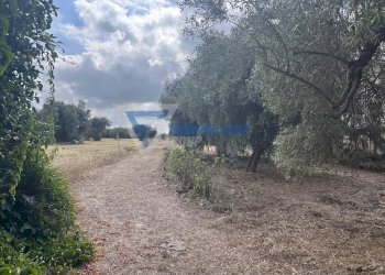 Villa Traversa Masseria Gargallo, Siracusa - foto 18