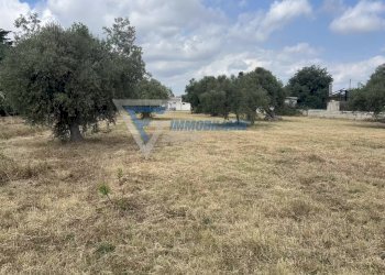 Villa Traversa Masseria Gargallo, Siracusa - foto 36
