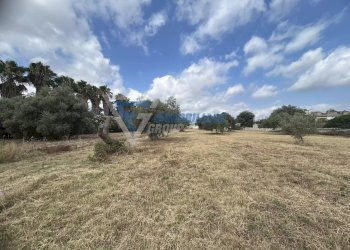 Villa Traversa Masseria Gargallo, Siracusa - foto 38