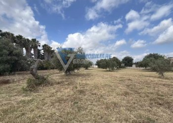 Villa Traversa Masseria Gargallo, Siracusa - foto 39