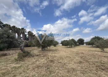 Villa Traversa Masseria Gargallo, Siracusa - foto 40