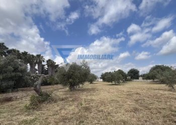 Villa Traversa Masseria Gargallo, Siracusa - foto 41