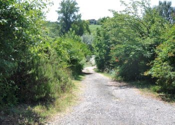 Casa semi indipendente Strada Asti, Costigliole d'Asti - foto 47