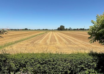 Villetta Budrio - foto 30