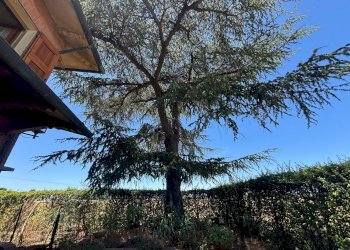 Villetta Budrio - foto 35