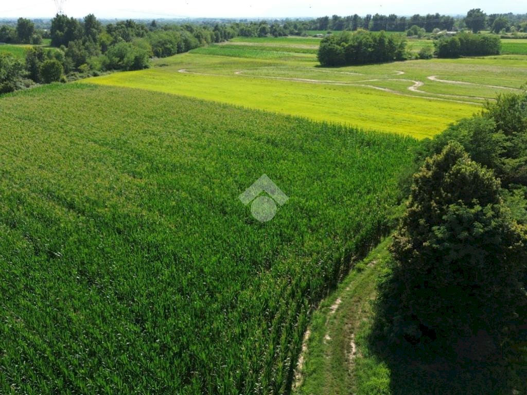 Terreno agricolo Via Lombardore, Leini - foto 3