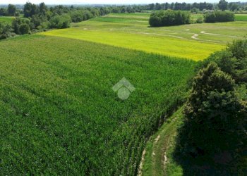 Agricultural land Via Lombardore, Leini - photo 3