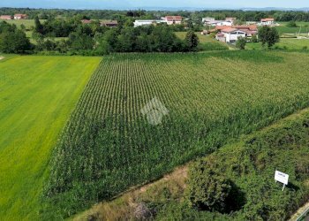 Agricultural land Via Lombardore, Leini - photo 9