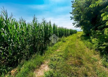 Agricultural land Via Lombardore, Leini - photo 10