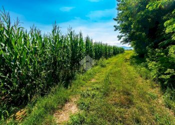 Agricultural land Via Lombardore, Leini - photo 11