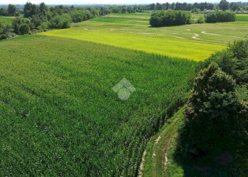 Agricultural land Via Lombardore, Leini - photo 13