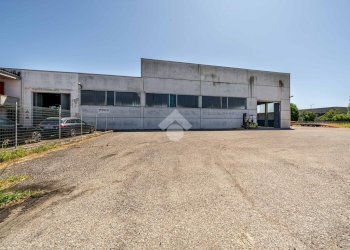 Capannone Via XXV Aprile, Gualtieri - foto 4